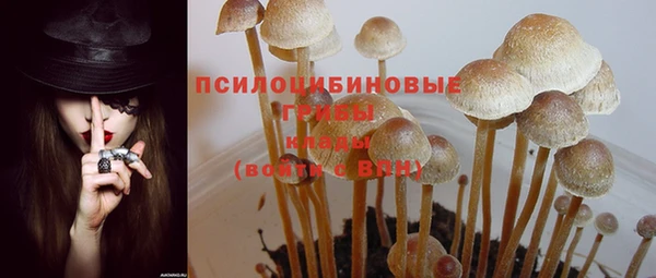 гидропоника Горнозаводск