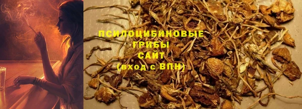 марки nbome Горняк
