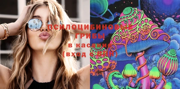марки nbome Горняк