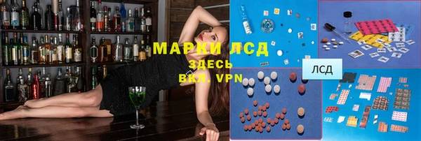 стаф Волосово