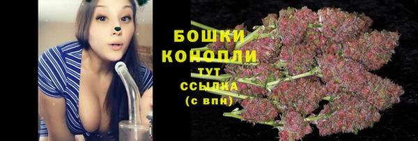 гидропоника Горнозаводск